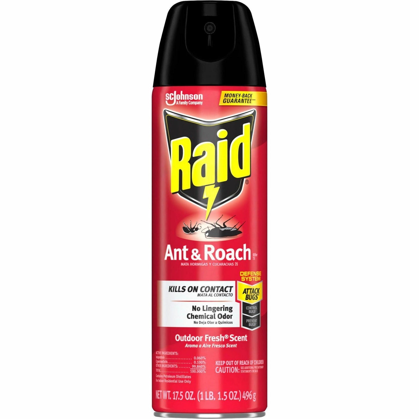 Raid Ant & Roach Killer Spray - 12ea/case