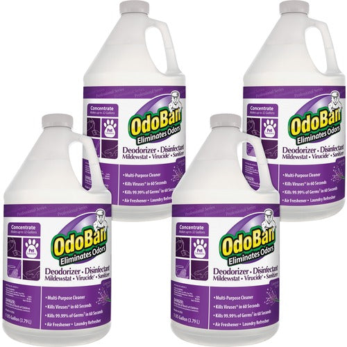 OdoBan Deodorizer Disinfectant Cleaner Concentrate - 1x carton