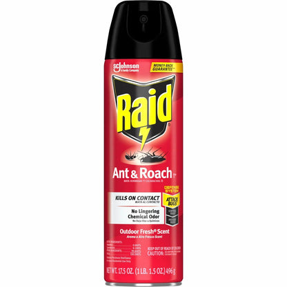 Raid Ant & Roach Killer Spray - 12ea/case