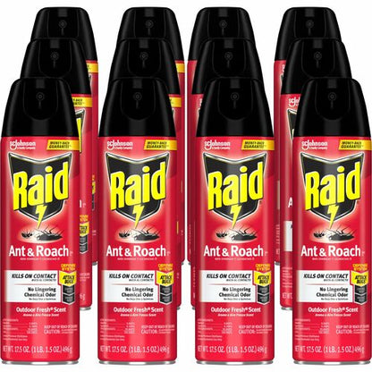 Raid Ant & Roach Killer Spray - 12ea/case