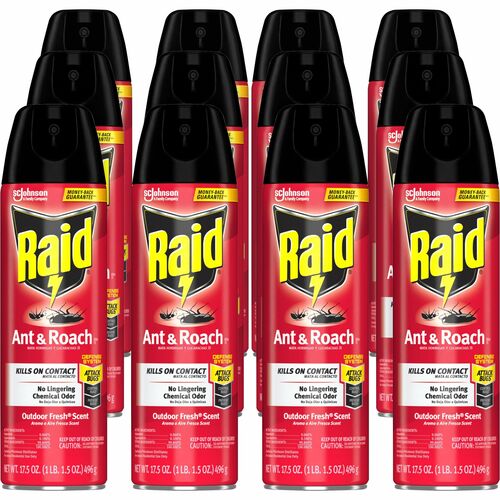 Raid Ant & Roach Killer Spray - 12ea/case