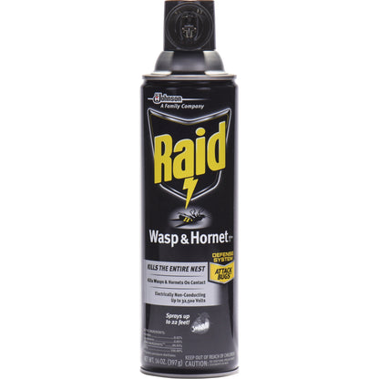 Raid Wasp/Hornet Killer Spray - 12ea/case