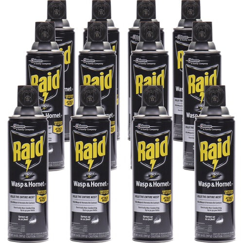 Raid Wasp/Hornet Killer Spray - 12ea/case
