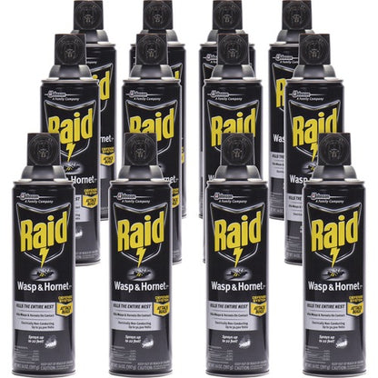 Raid Wasp/Hornet Killer Spray - 12ea/case